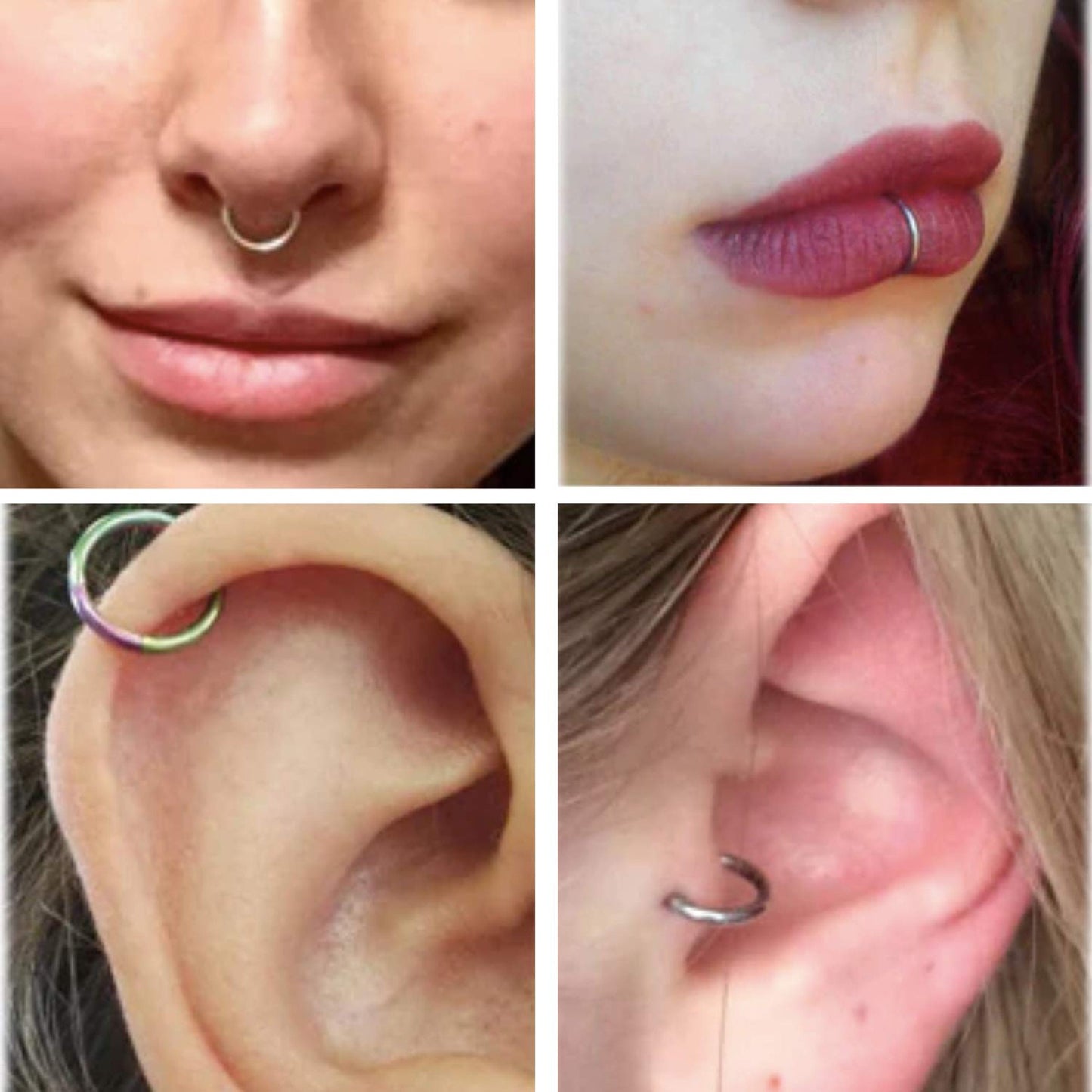 Segment Septum Ring, Hinged Nose Ring - 20G 18G 16G 14G 12G 10G 8G 00G - 6mm to 16mm