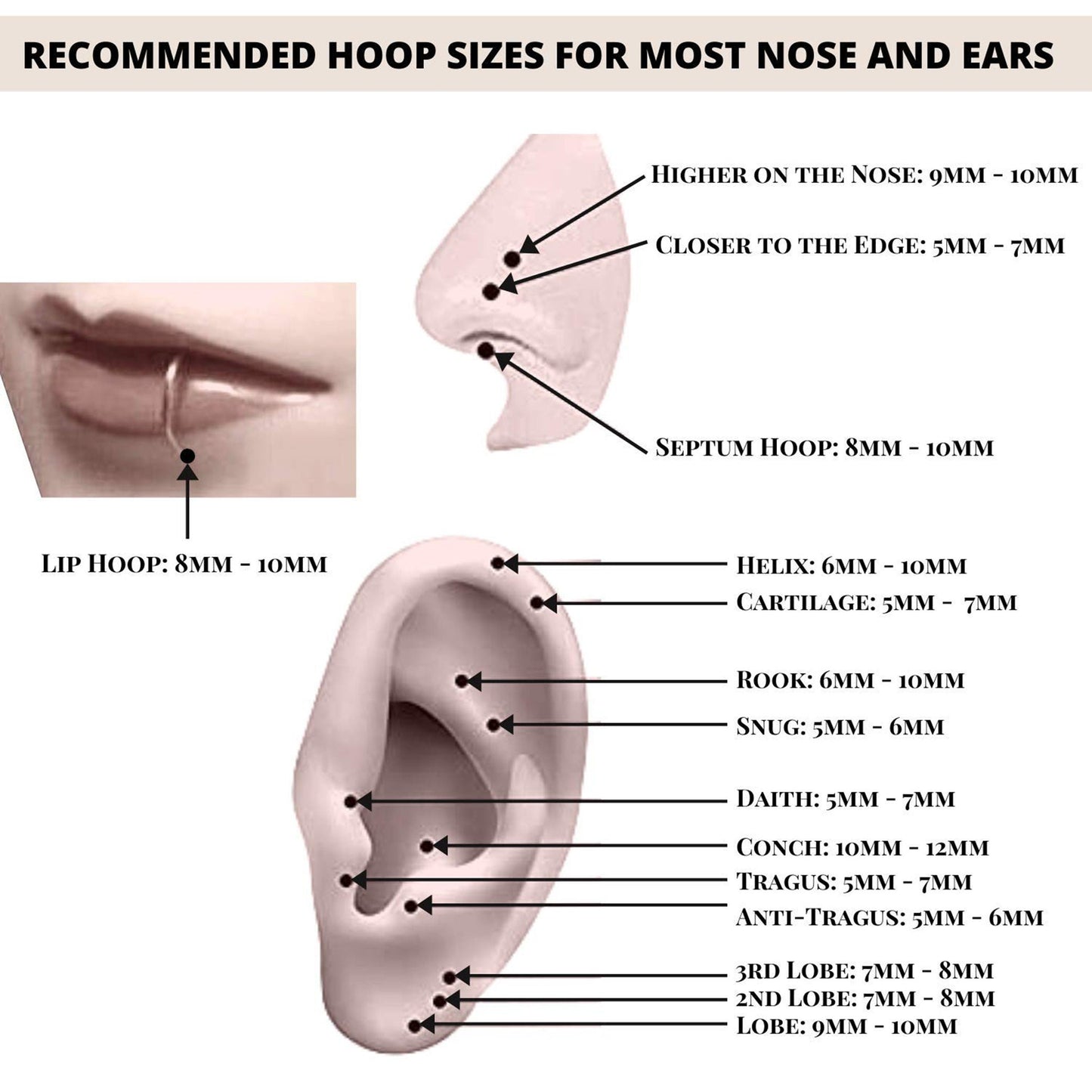 Rose Gold Hoop Earrings, Rose Gold Septum clicker - Titanium Nose Ring - 20G 18G 16G 14G - Diameter 6mm to 12mm - Rose Gold