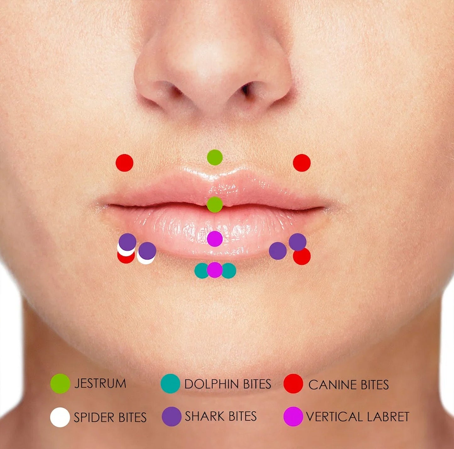 Titanium Jestrum Piercing Lip Jewelry with Multi Stone Crystal 18g 16g 14g Bent Barbell Body Piercing also for Rook, Daith, Eyebrow