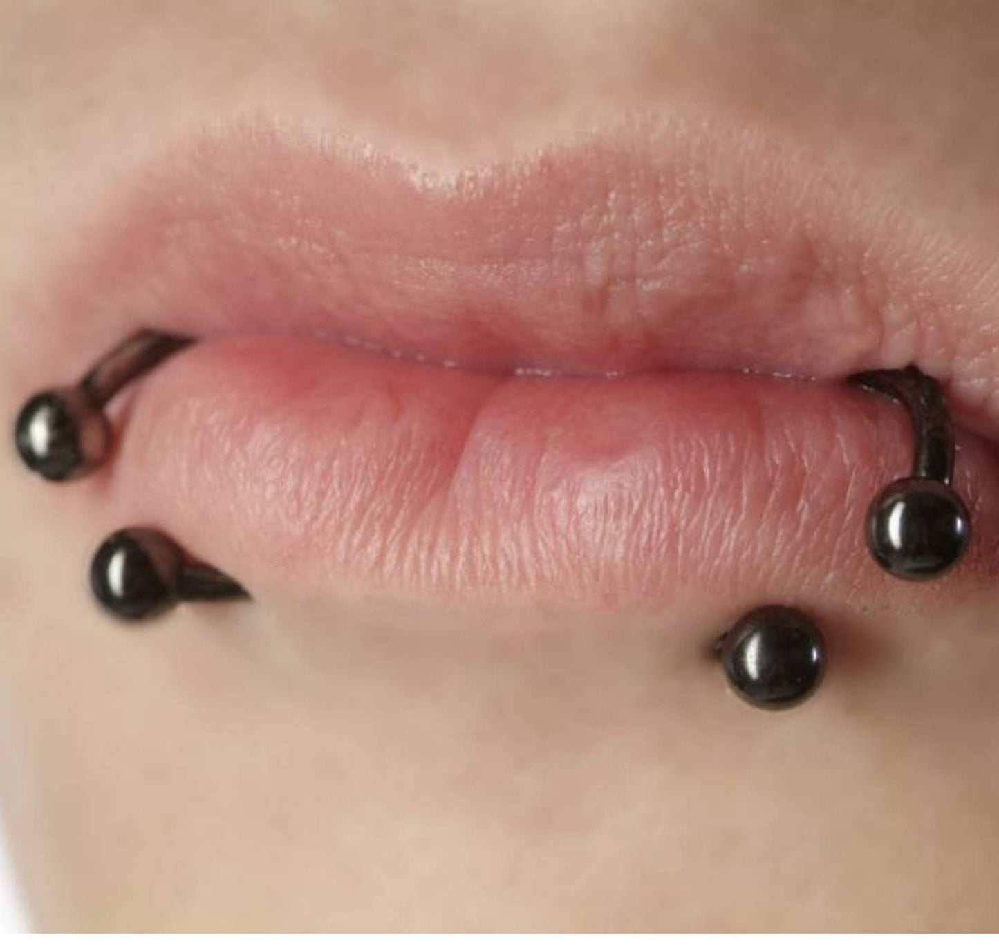 Black Horseshoe Earring - Titanium Septum Ring - 00G, 0G, 1G, 2G, 4G, 6G, 8G, 10G, 12G, 14G 16G, 18G - Size 6mm to 19mm