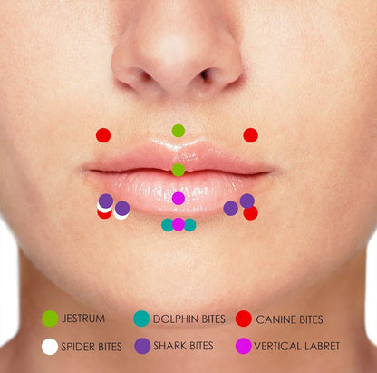Titanium Jestrum Piercing Lip Jewelry with Multi Stone Crystal 18g 16g 14g Bent Barbell Body Piercing also for Rook, Daith, Eyebrow